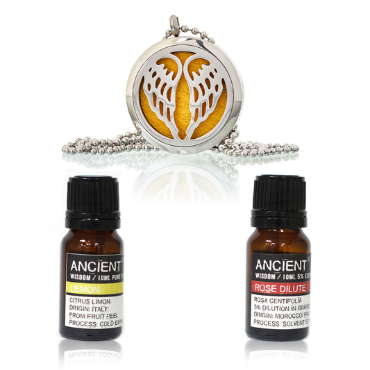 Oil Diffuser Necklace and Essential Oils Set