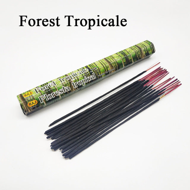 White Sage Indian Forest Tricale Incense Sticks, Cosmic Serenity Shop