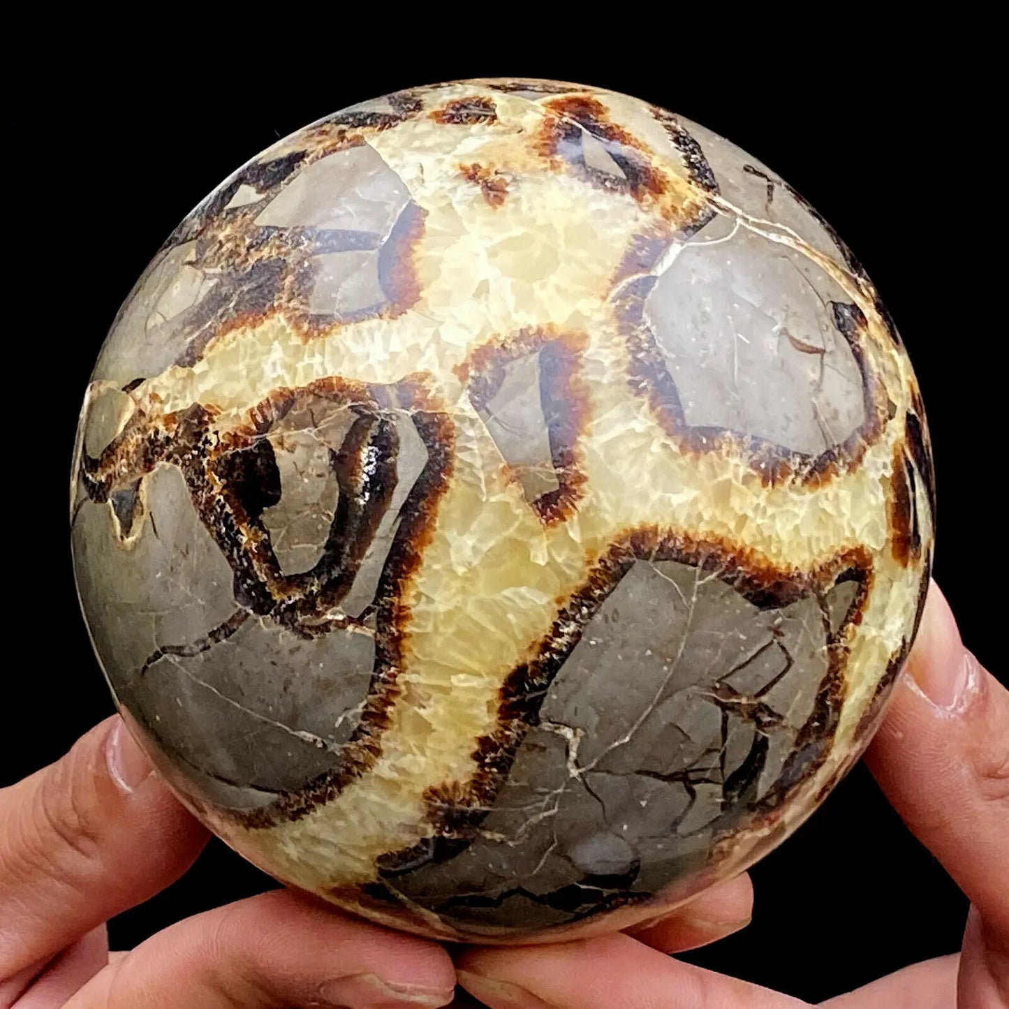 Natural Dragon Stone Septarian Crystal Sphere