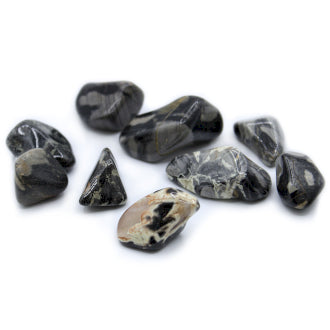 Tumble Stones - Jasper Silver Leaf