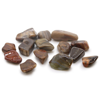 Tumble Stones - Petrified Wood