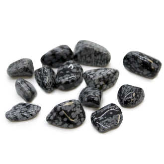 Tumble Stones - Snowflake Obsidian