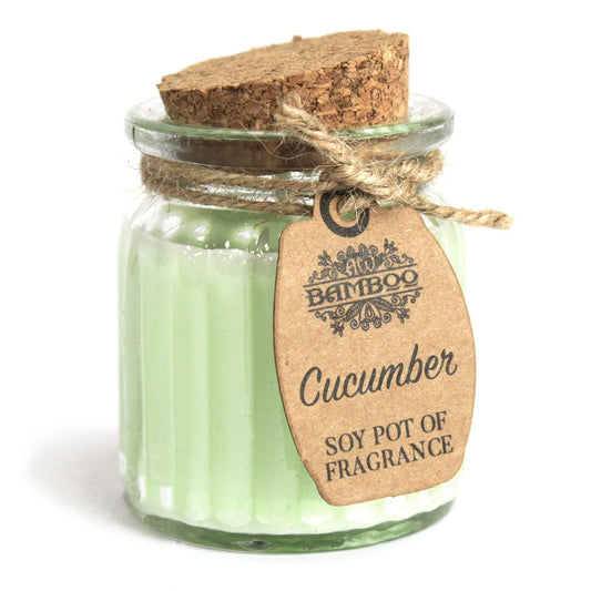 Cucumber Soy Pot of Fragrance Candle