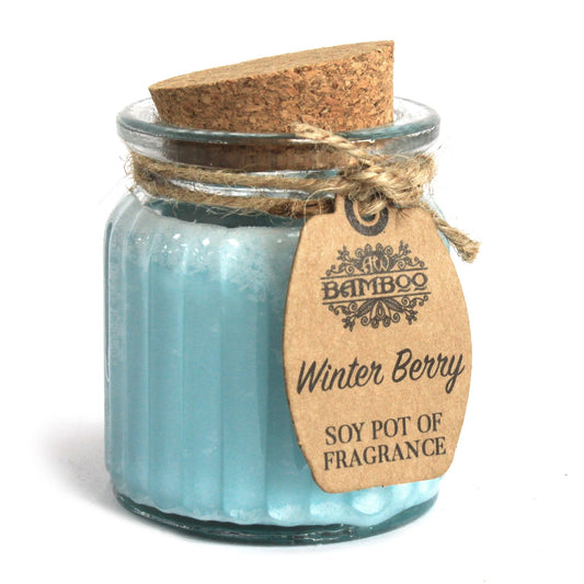Winter Berry Soy Pot of Fragrance Candle