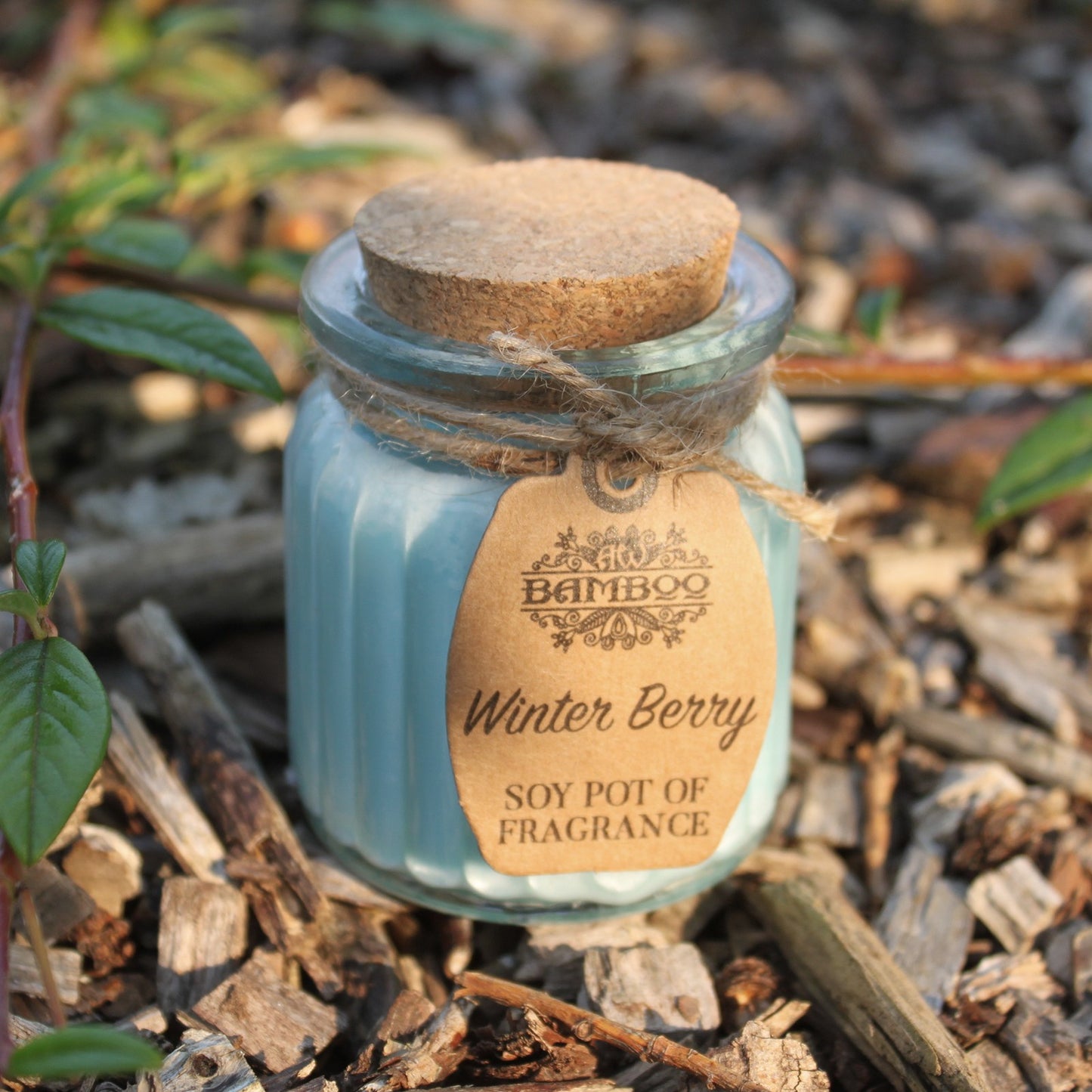 Winter Berry Soy Pot of Fragrance Candle
