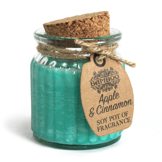 Apple & Cinnamon Soy Pot of Fragrance Candles - Cosmic Serenity Shop