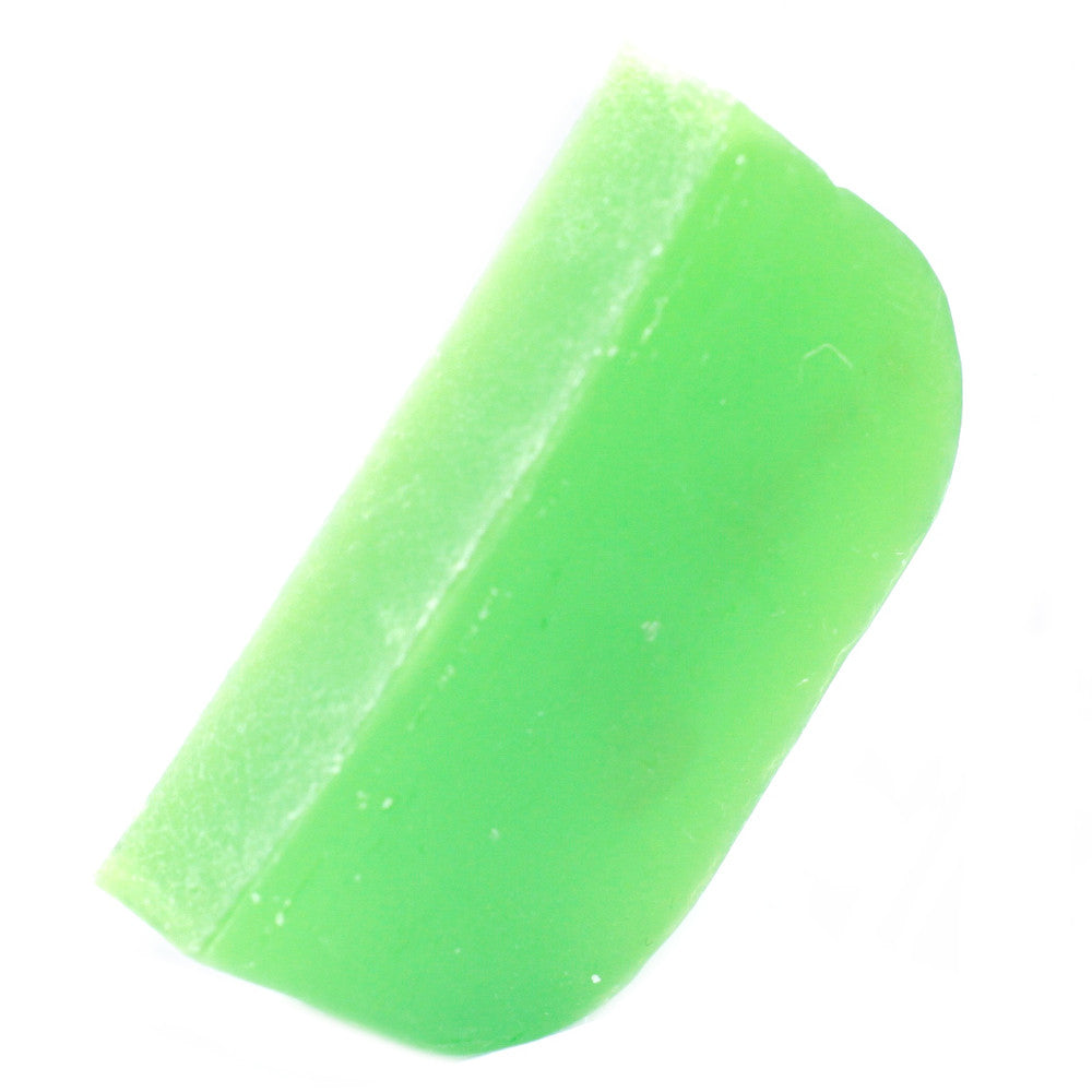 Eucalyptus - Argan Solid Shampoo - Slice - Cosmic Serenity Shop