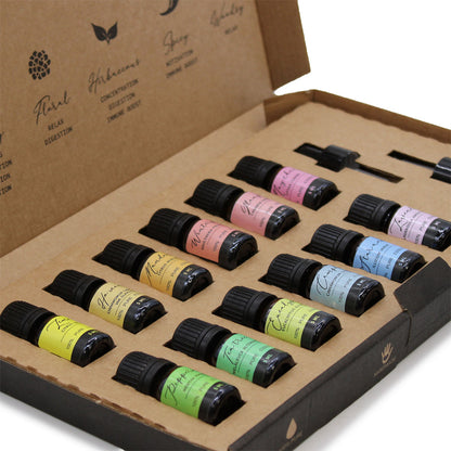 Aromatherapy Essential Oil Set - Starter Pack - Cosmic Serenity Shop