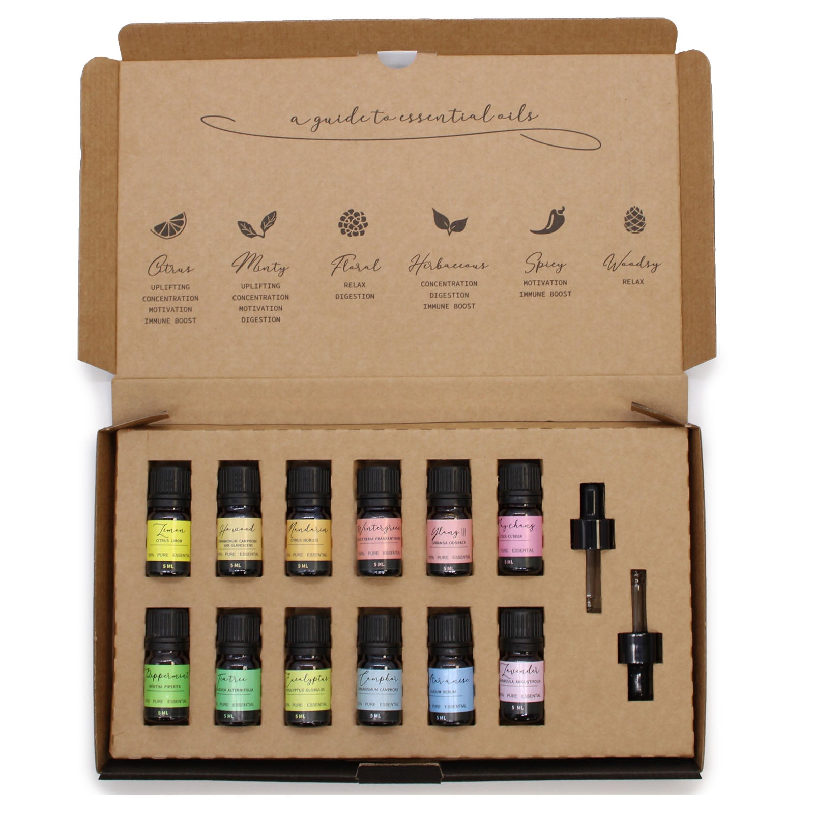 Aromatherapy Essential Oil Set - Starter Pack - Cosmic Serenity Shop