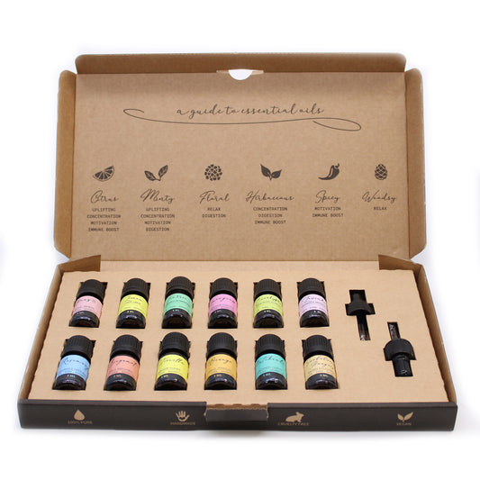 Aromatherapy Essential Oil Set - The Top 12 - Cosmic Serenity Shop