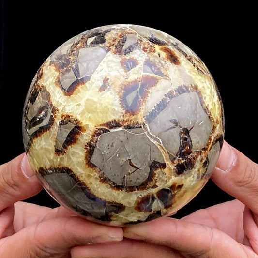 Natural Dragon Stone Septarian Crystal Sphere